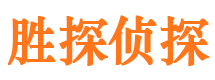 大新侦探